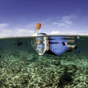 Tribord创新浮潜面罩实现水下自由呼