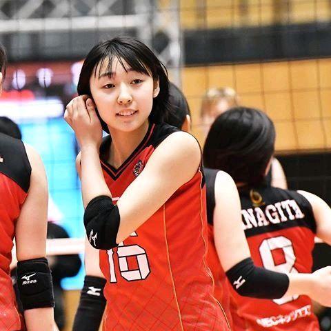 江苏女排亚俱杯对手揭秘 日本1米73的萌